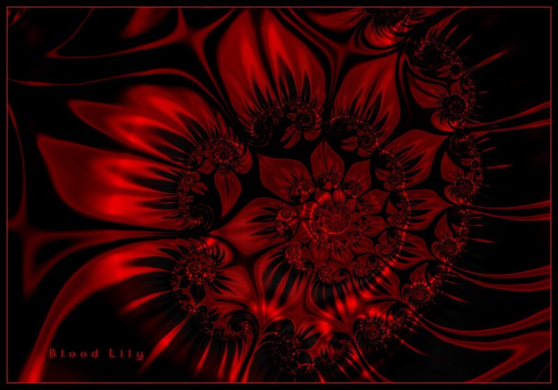 Blood Lily fractal art