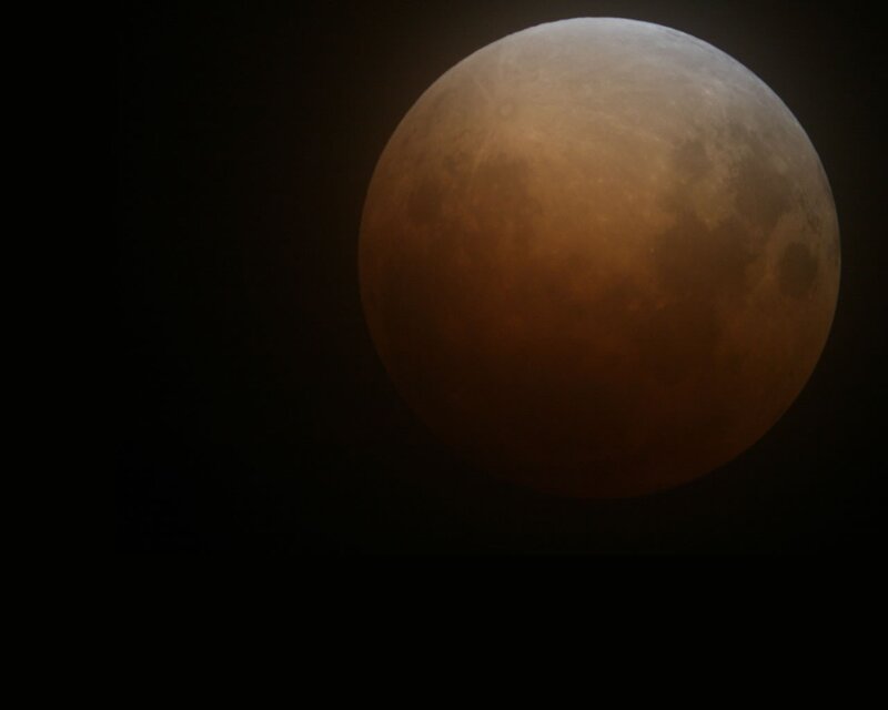 Blood Moon — Brown