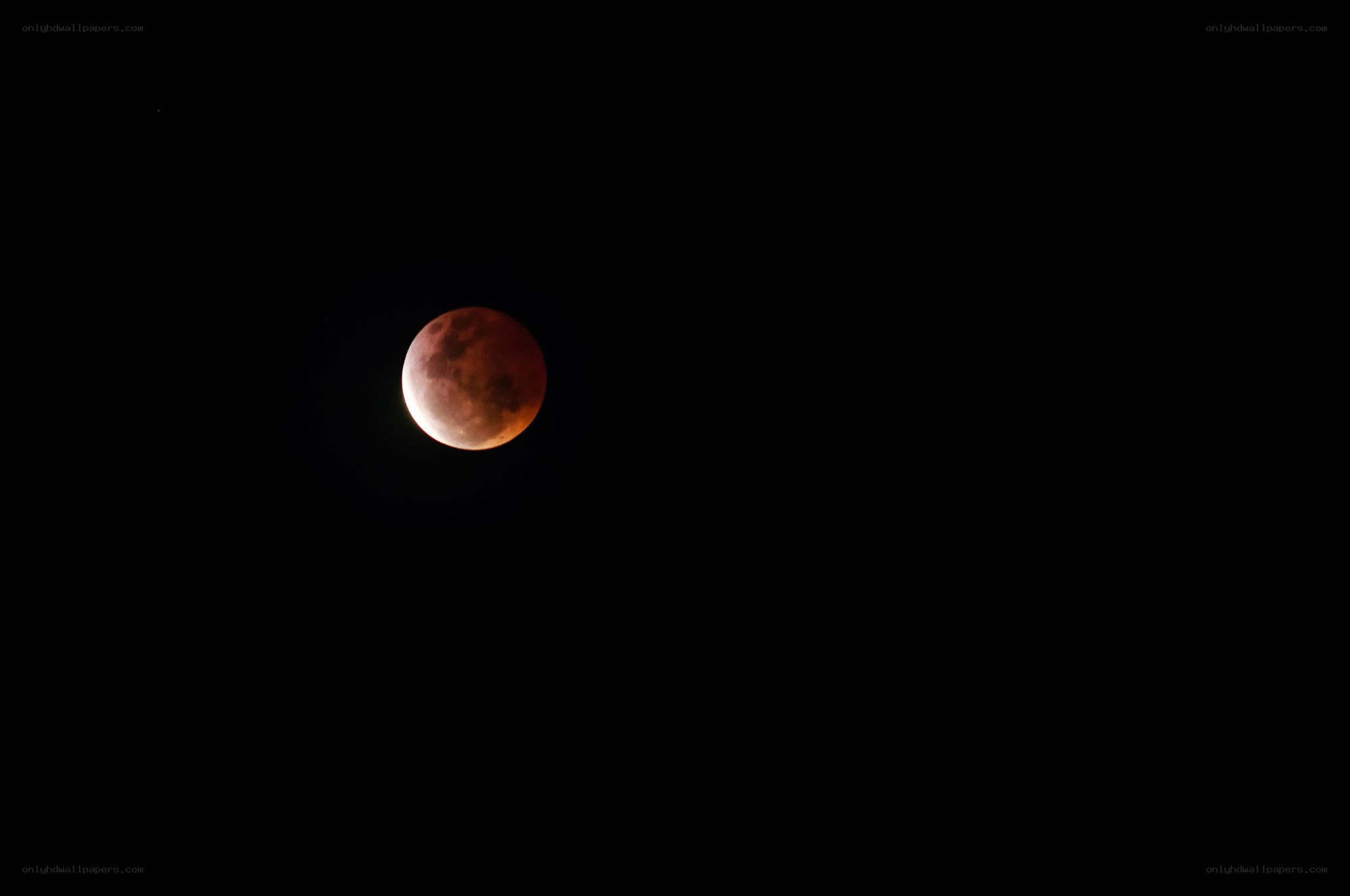 Blood moon eclipse