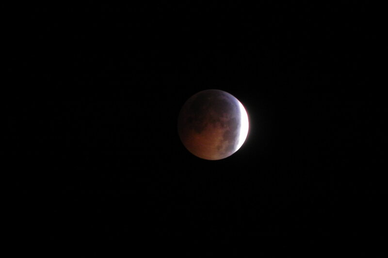Blood Moon Eclipse — Black