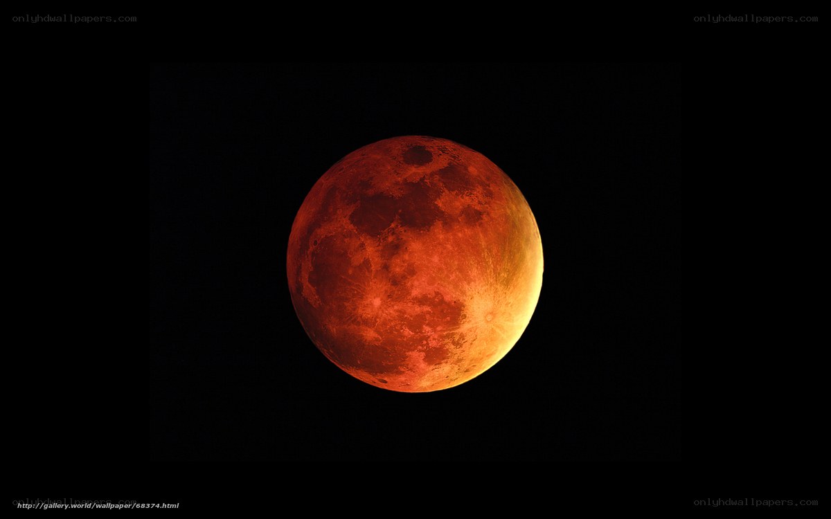 Blood Moon Eclipse