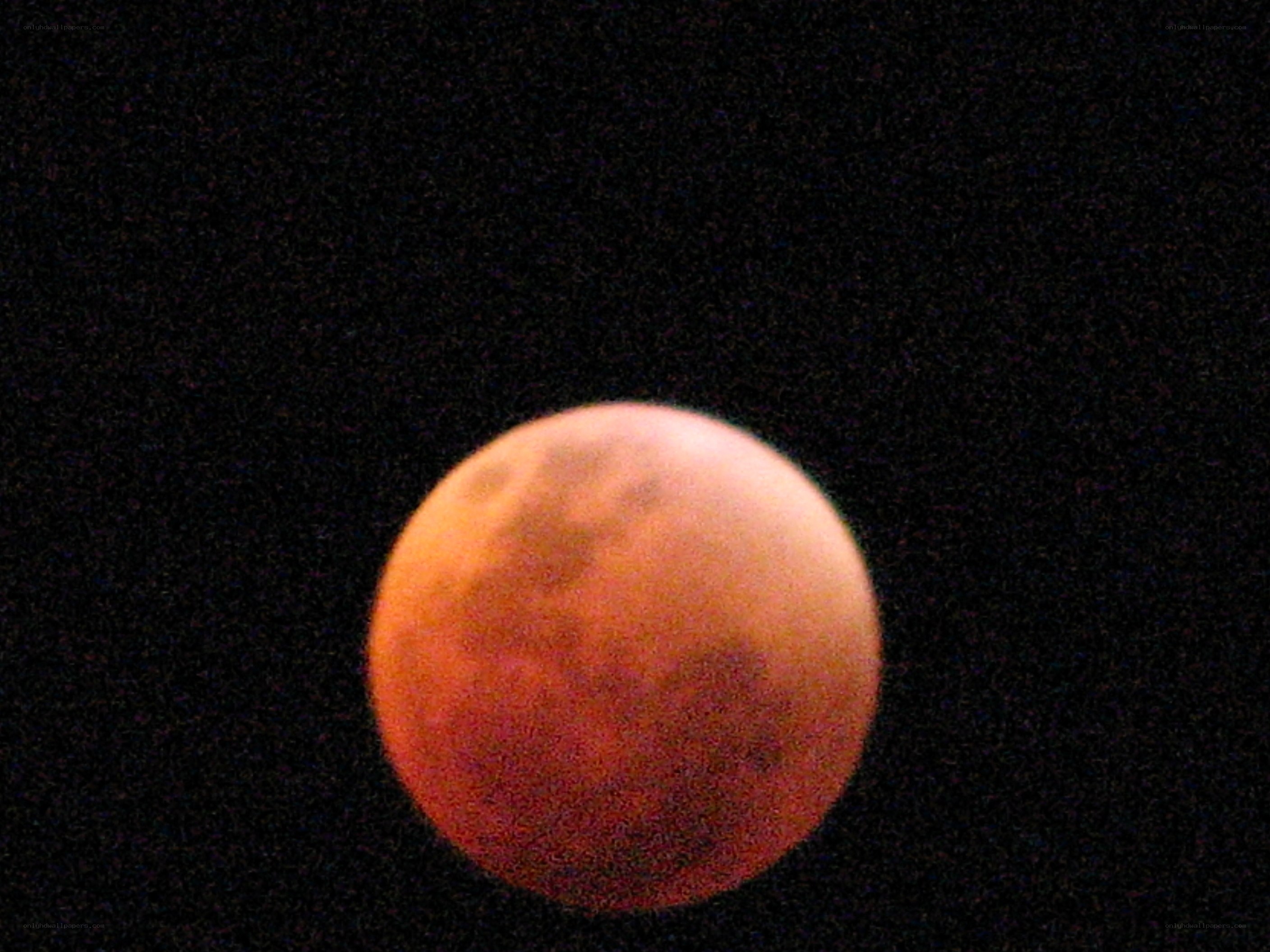 Blood moon in night sky