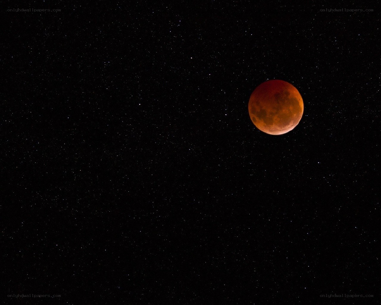 Blood moon in starry sky