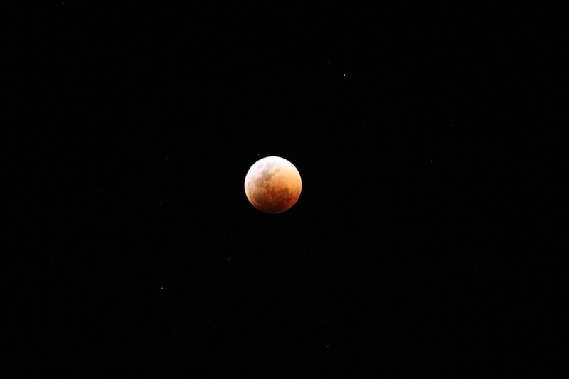 Blood Moon in the night sky