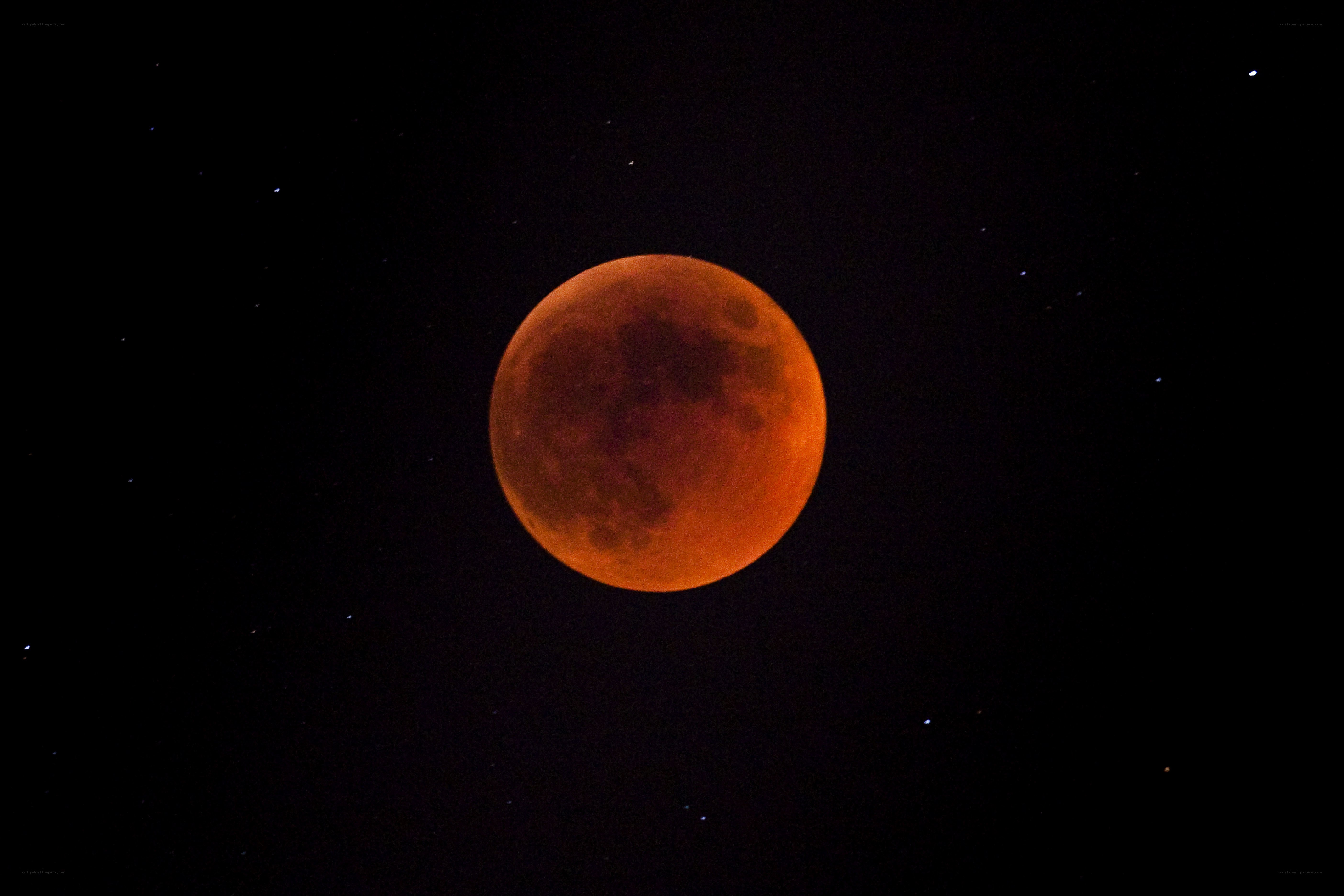 Blood Moon in the night sky