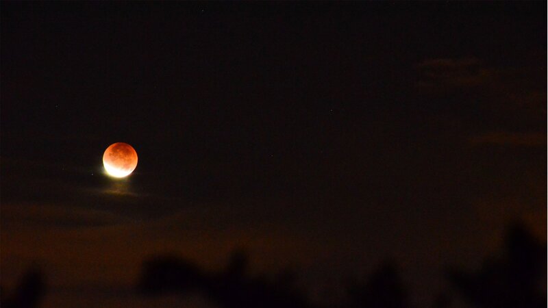 Blood moon lunar eclipse