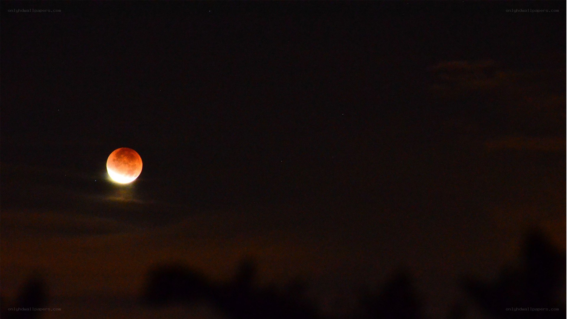 Blood moon lunar eclipse