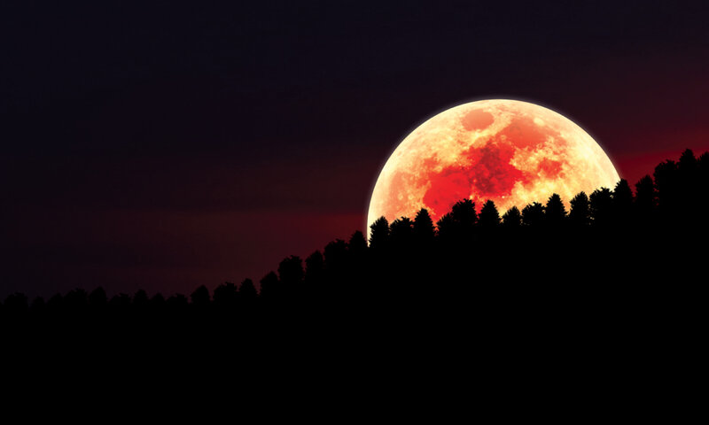 Blood Moon over Trees