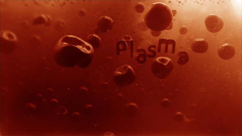 Blood Plasma Cells