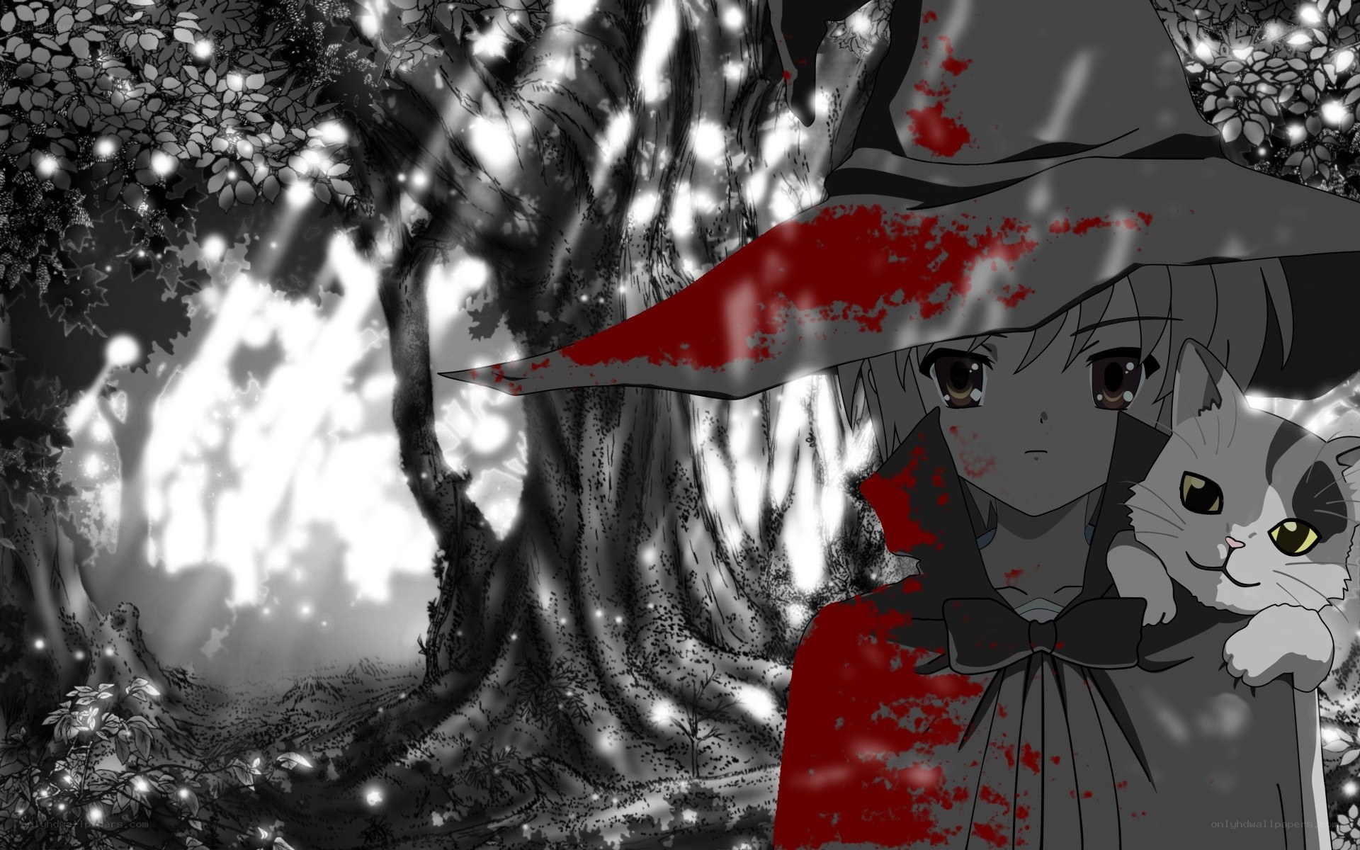 blood-stained witch with cat
