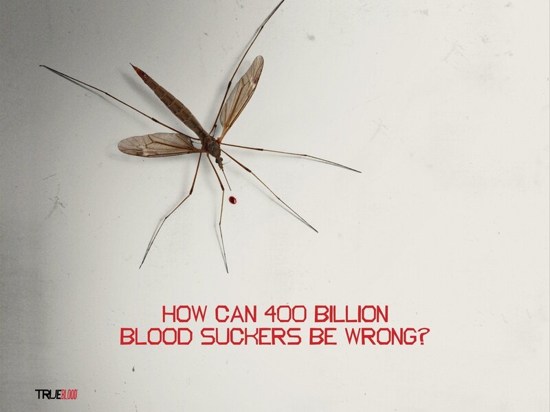 Blood-sucking insects