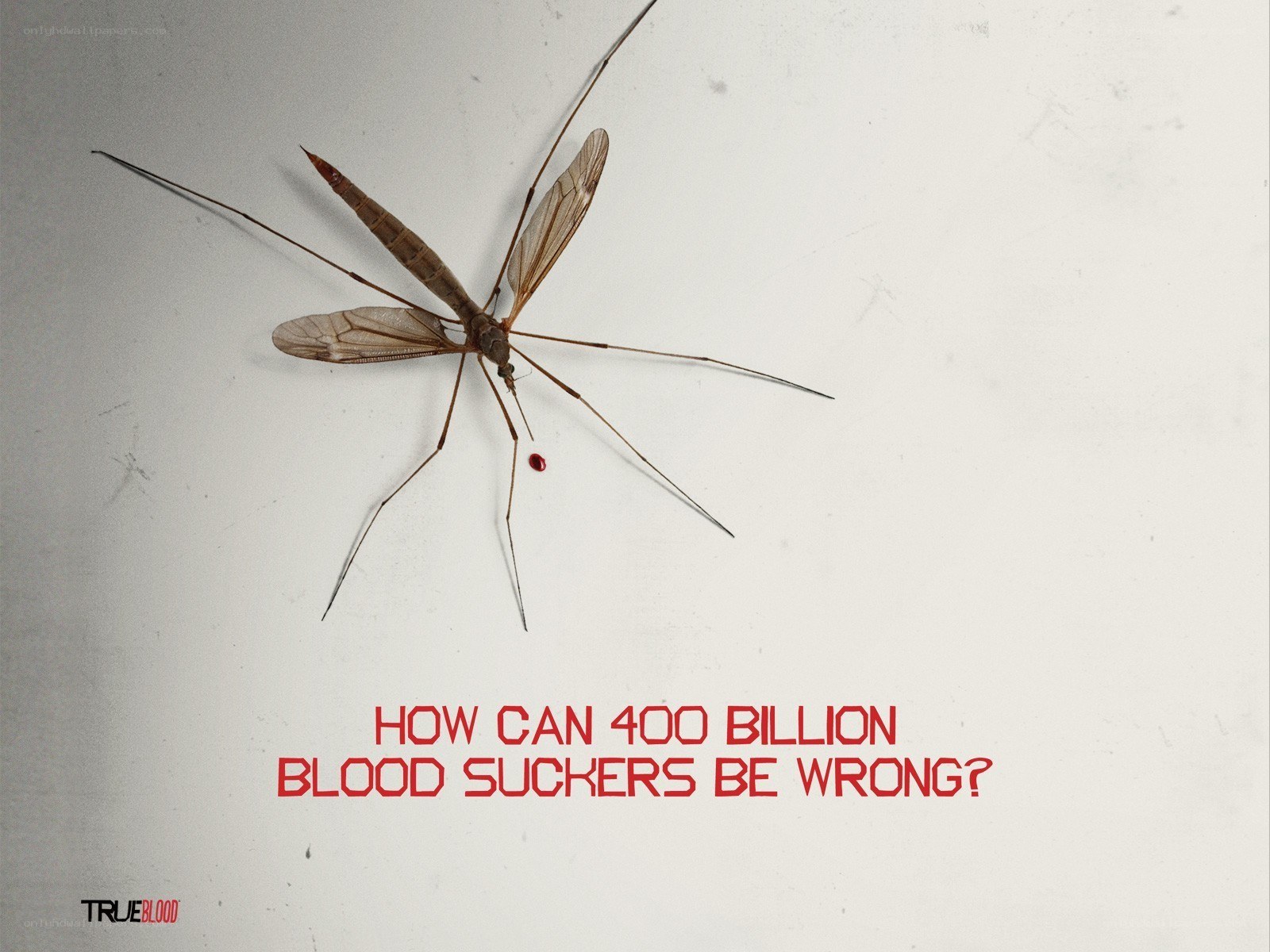 Blood-sucking insects