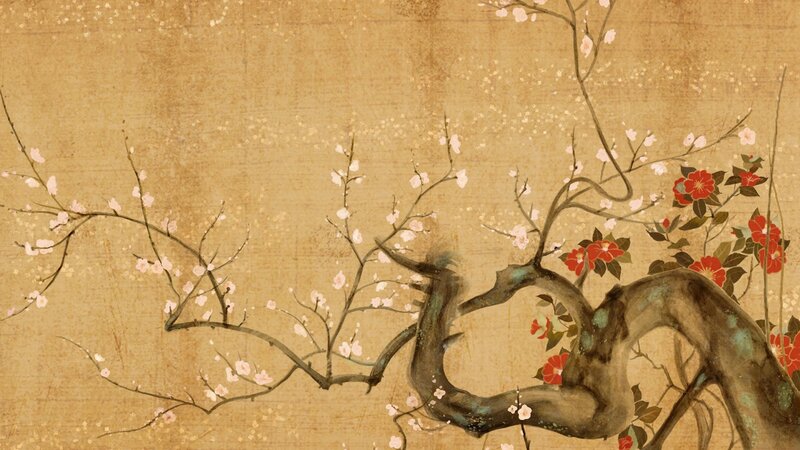Blooming Cherry Branches