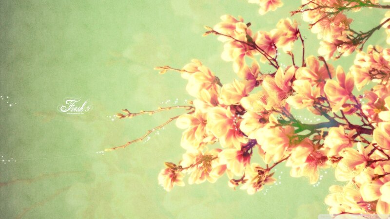 Blooming Magnolia Branches — Green