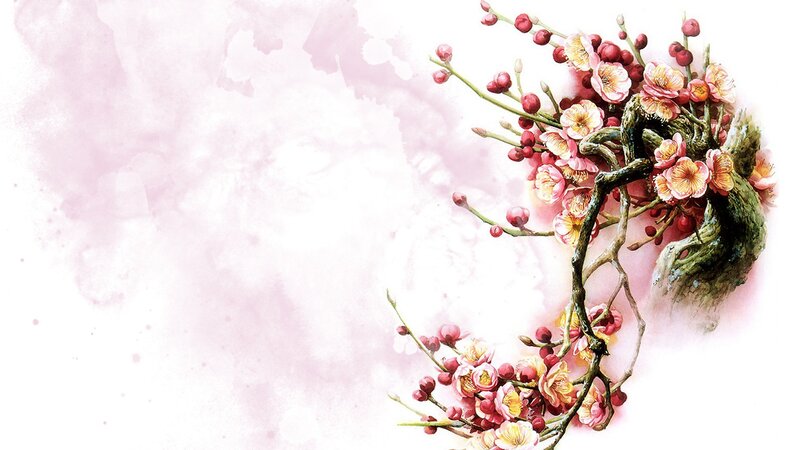 Blooming Plum Branches — Pink, Serene