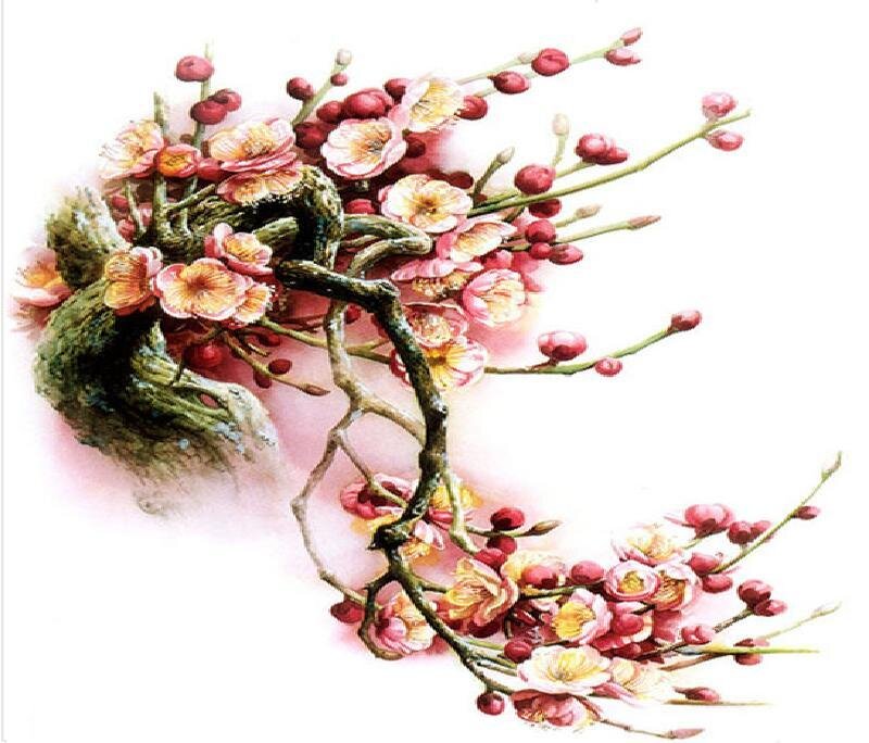 Blooming Plum Branches