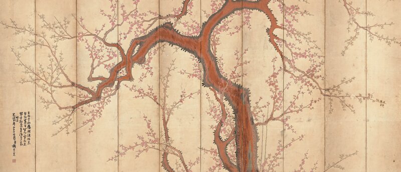 Blooming Plum Tree