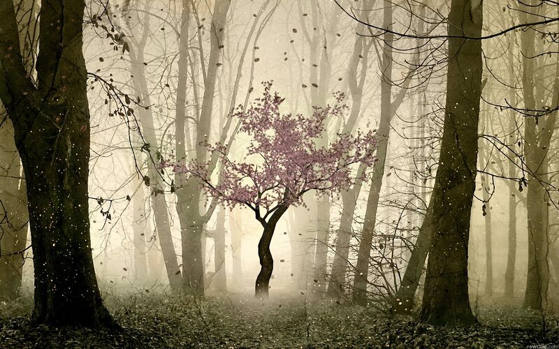 Blooming Tree in Forest — Brown