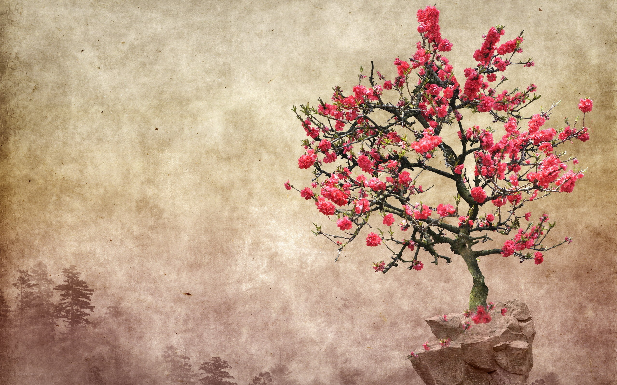 blooming tree on a rock