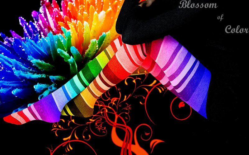 Blossom of Color