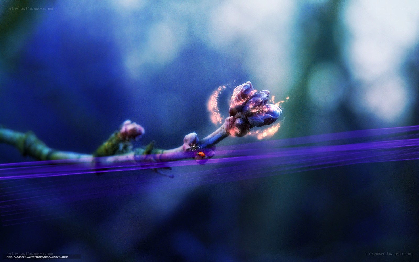 Blossom with glowing aura