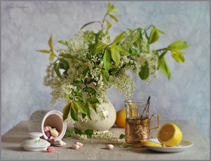Blossoming Branch in Vase