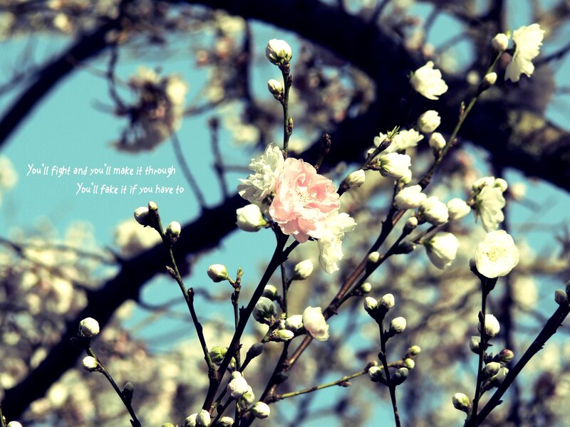 Blossoming Branches