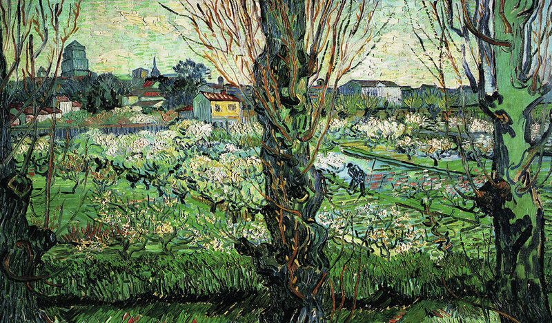 Blossoming Orchard Landscape — Green