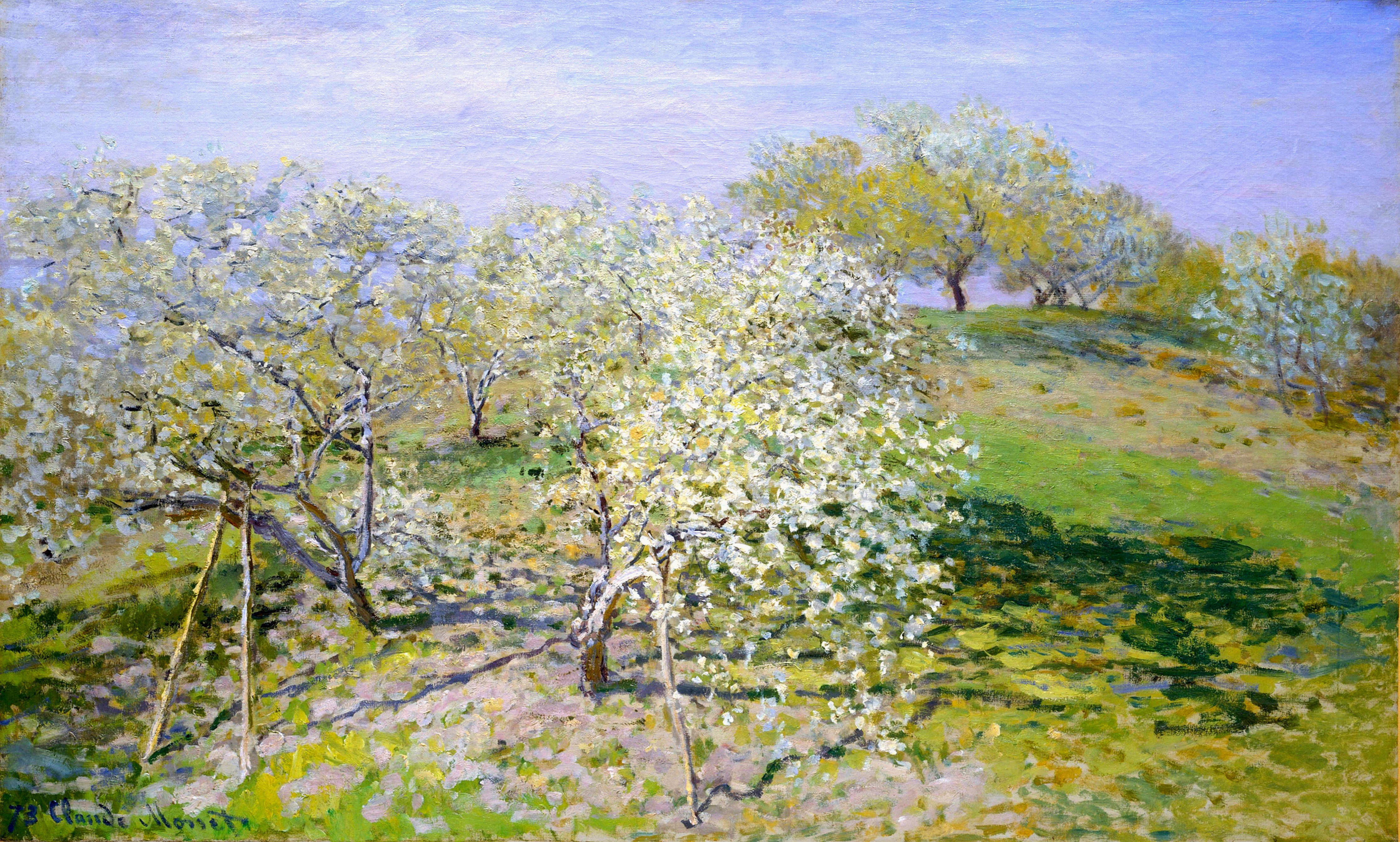 Blossoming Orchard Landscape