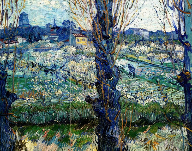 Blossoming Orchard View