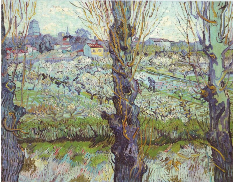 Blossoming Orchard View