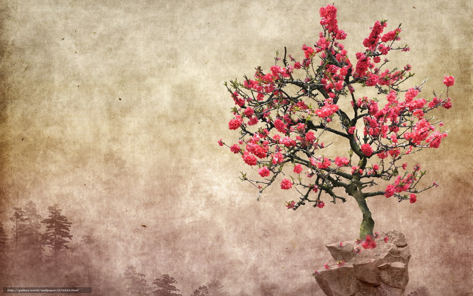 Blossoming tree on a rock