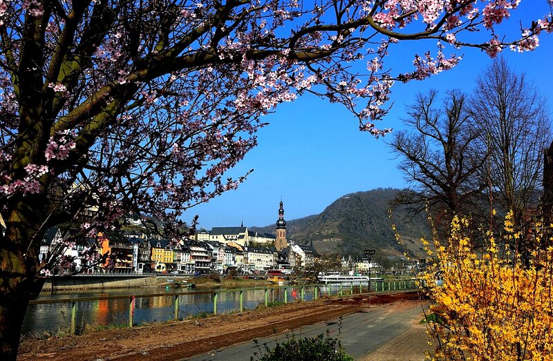 Blossoming Tree over River