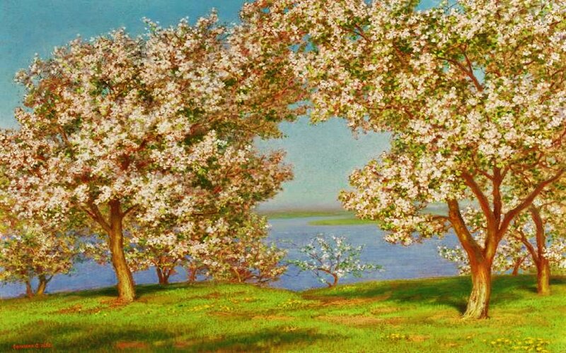 Blossoming Trees by Water