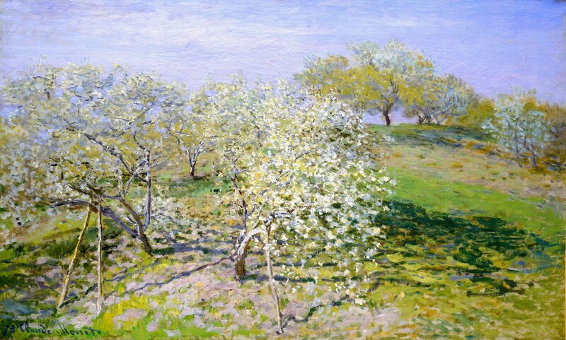 Blossoming Trees in Orchard — Green, Serene, Spring