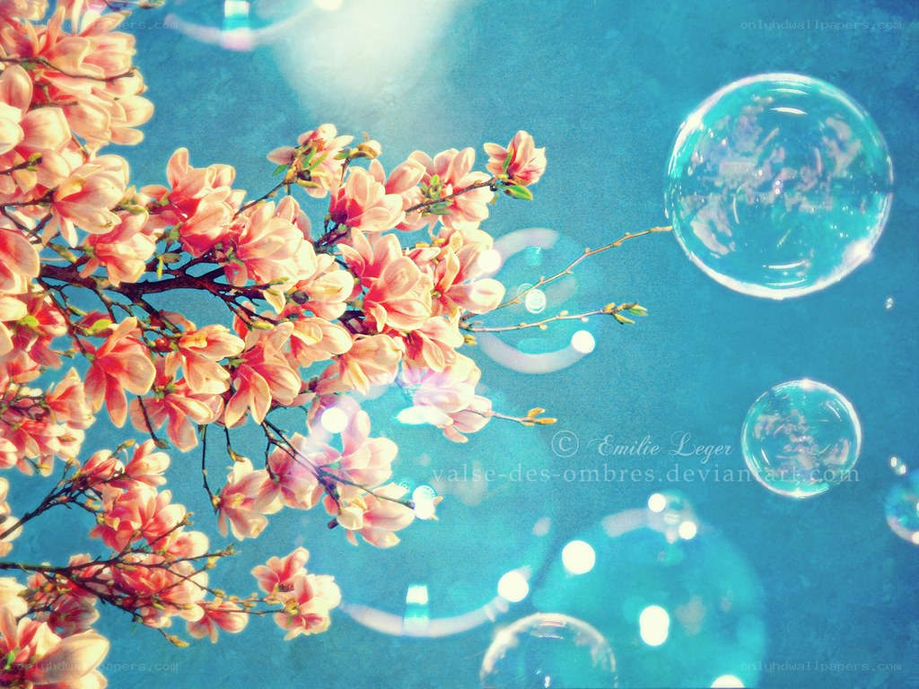 blossoms and bubbles