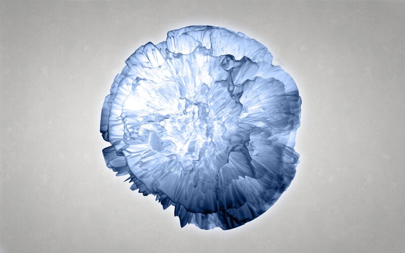 blue abstract flower shape