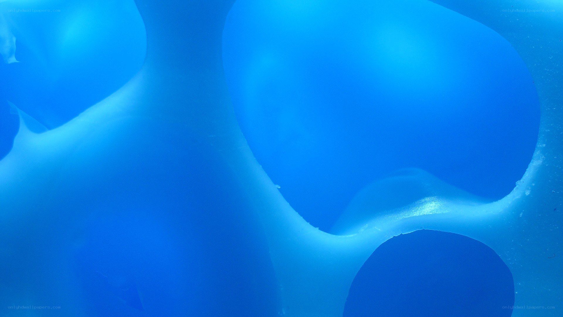 blue abstract gelatinous shapes