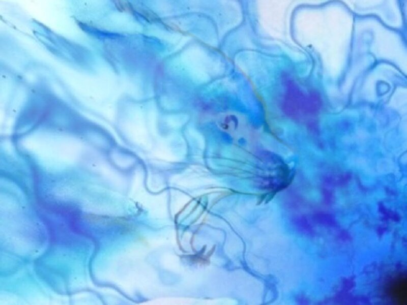 blue abstract ink swirl