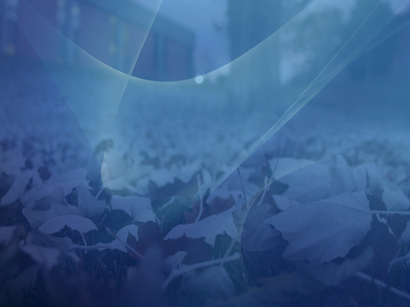 blue abstract leaf background