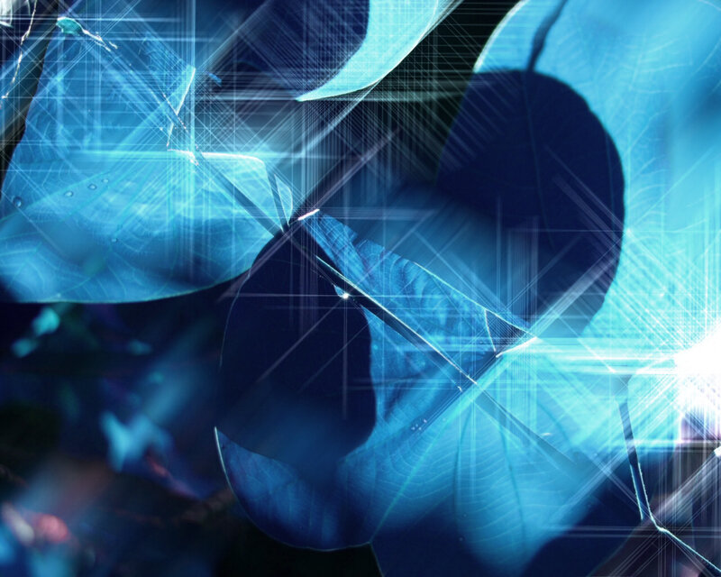 blue abstract leaf design
