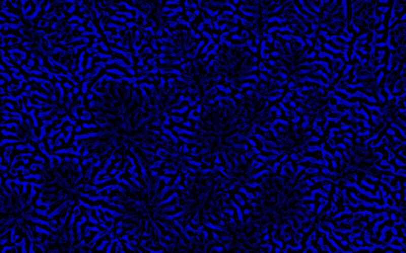 Blue Abstract Pattern — Chaotic