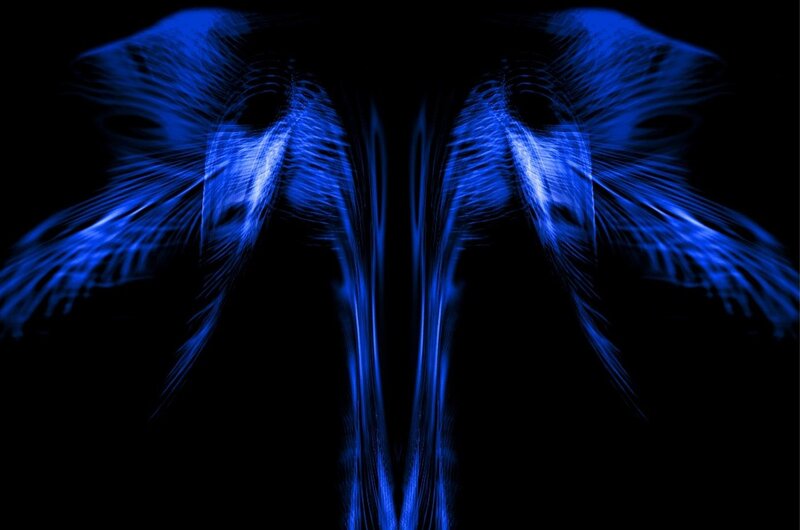 Blue Abstract Wings — Dramatic