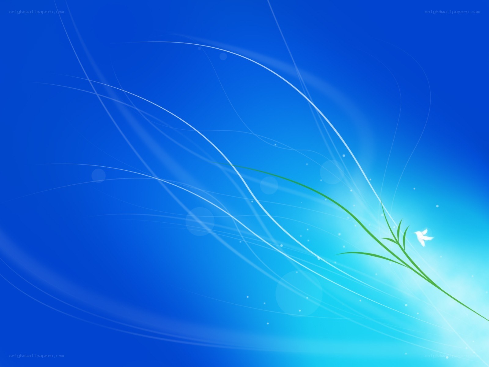 Blue abstract with green plant