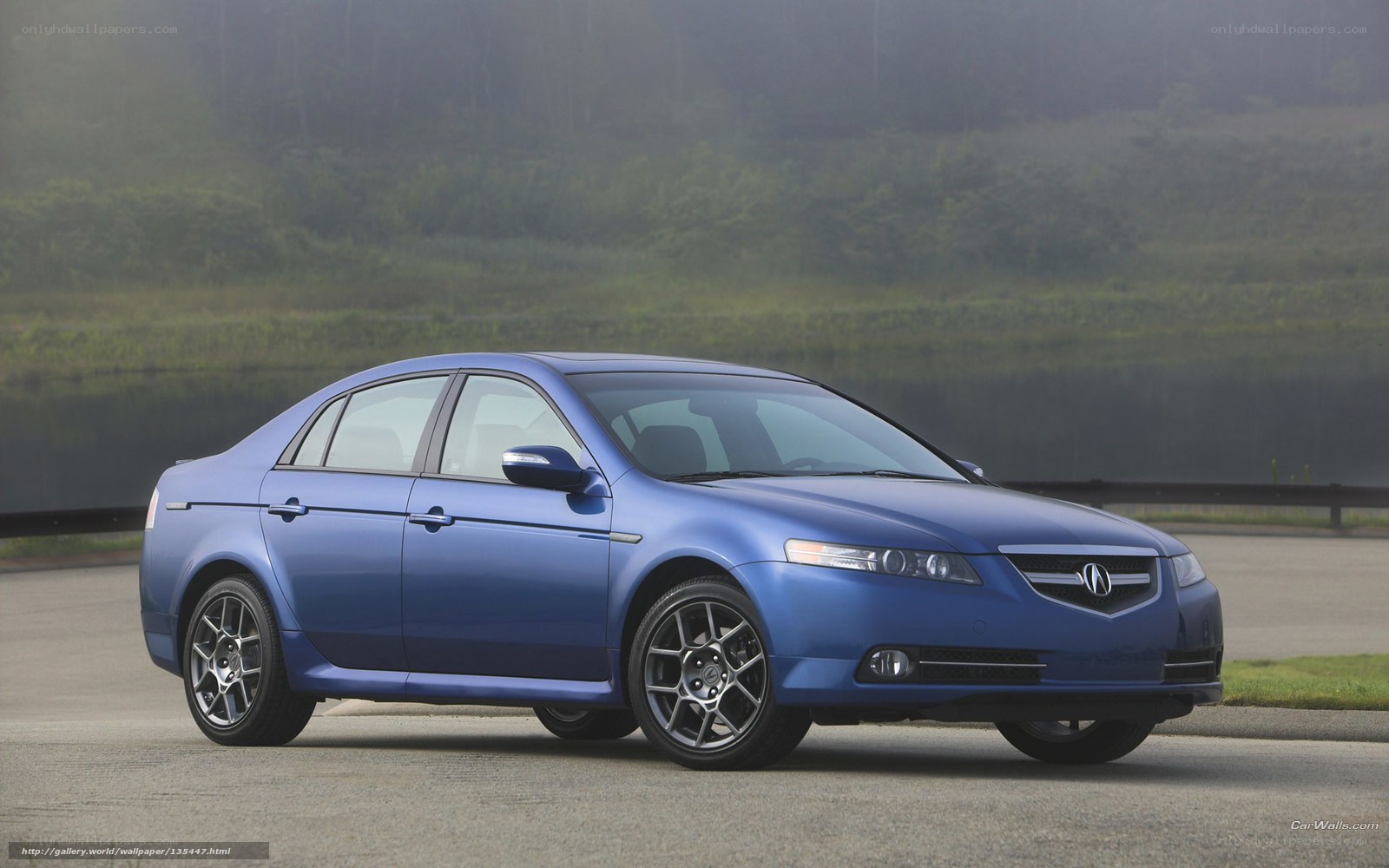 blue acura tl sedan
