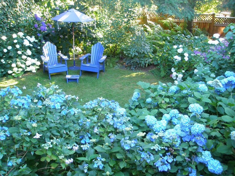 Blue Adirondack Chairs