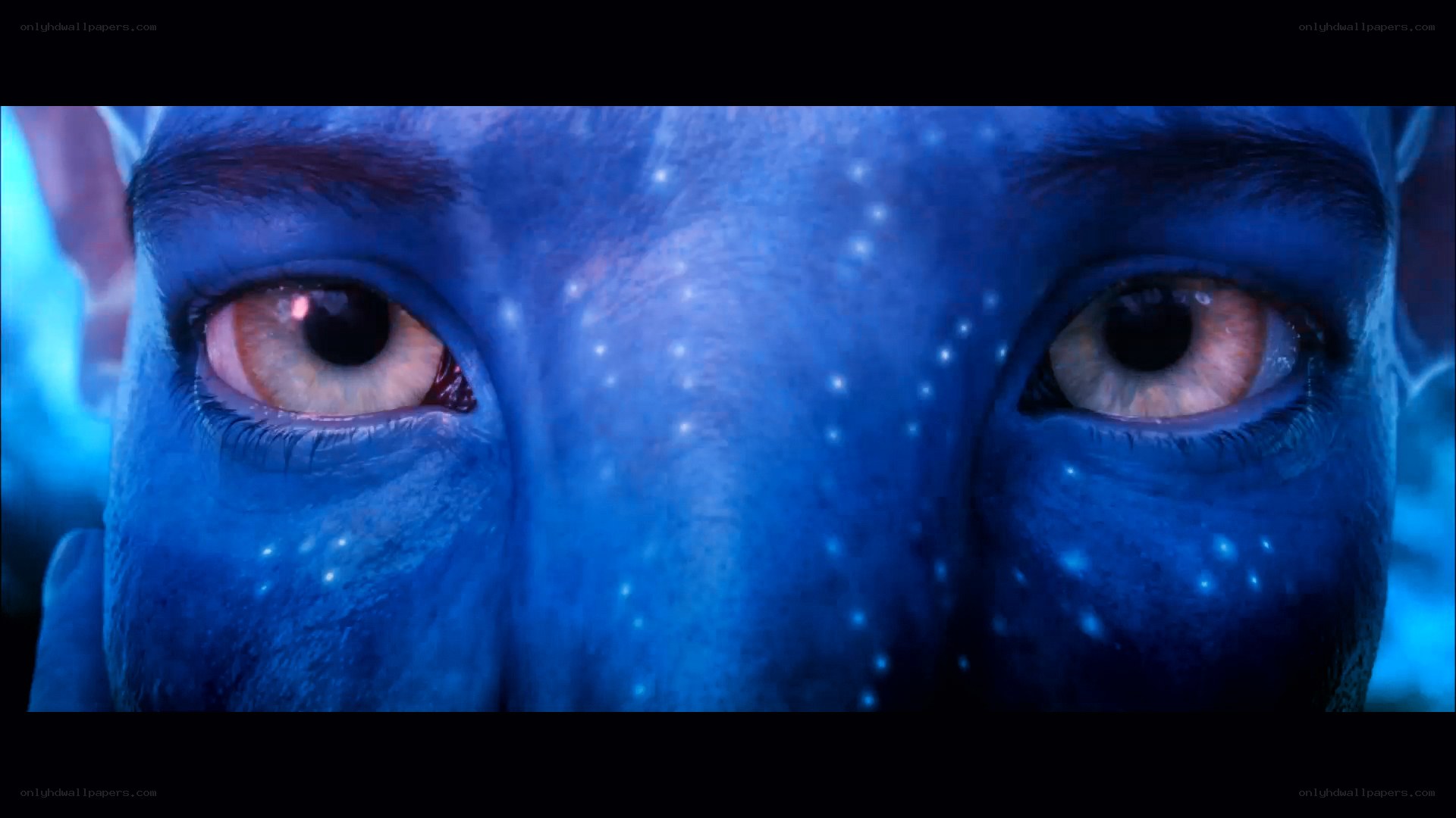 blue alien eyes close-up