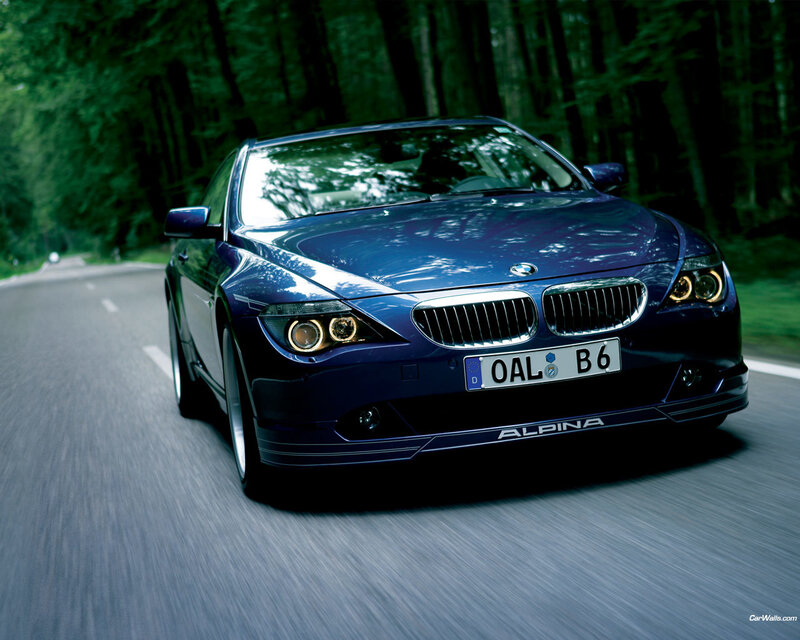 blue alpina car on forest road