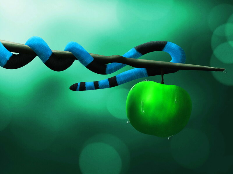 Blue and Black Snake
