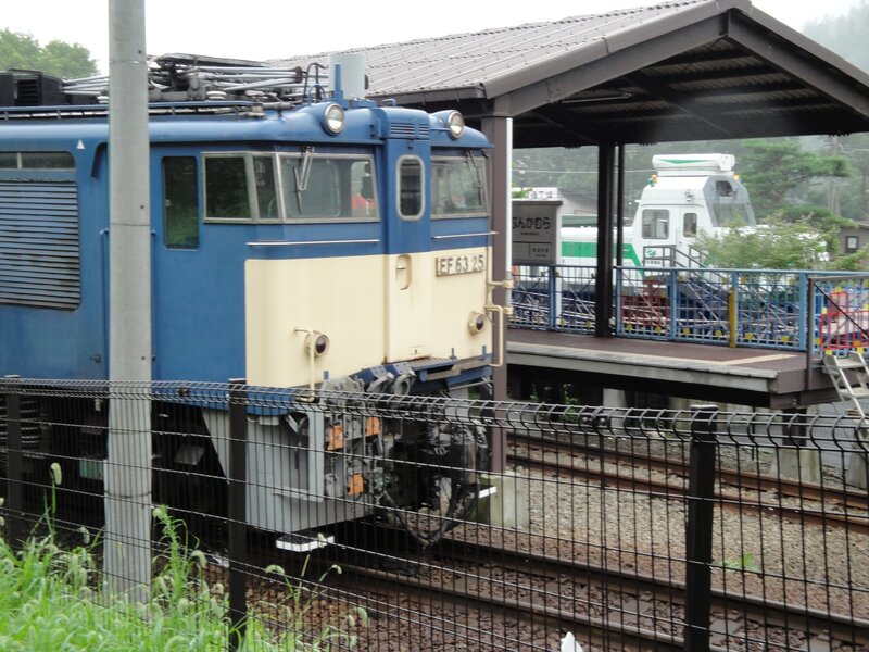 Blue and Cream Train